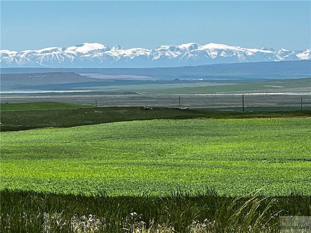 1,400 Acres Rapelje/Molt Rd - Photo 1