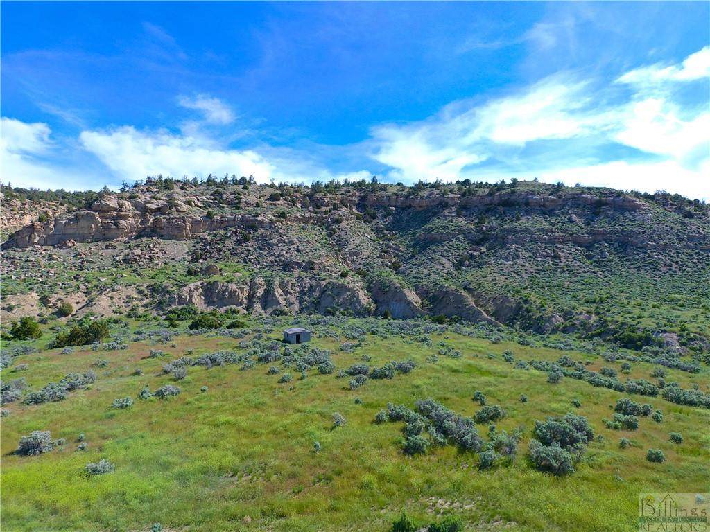 HT Cottonwood Road - Photo 1