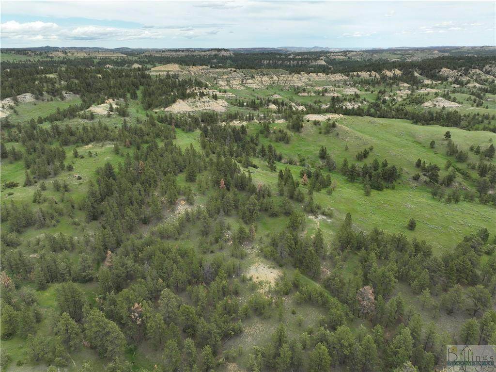 159 Sonnette Rd - Photo 1