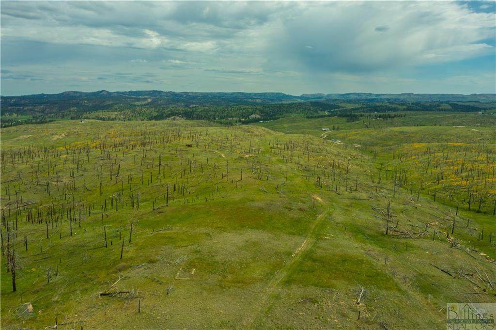 226 Shortcut - Photo 1