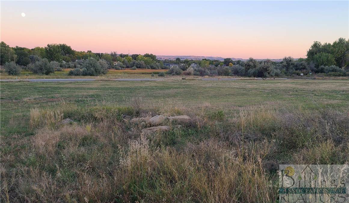 TBD Gayle Block 17, Lot 8 Drive - Photo 1