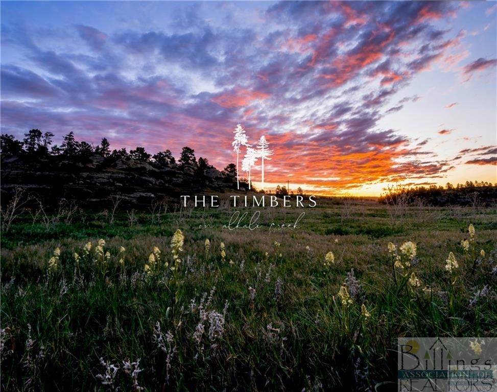 LOT 38 Olive Lane - Photo 1