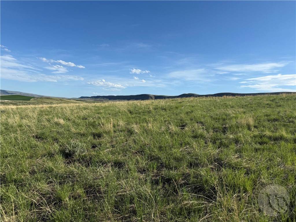 44 Five Mile Creek Rd - Photo 1
