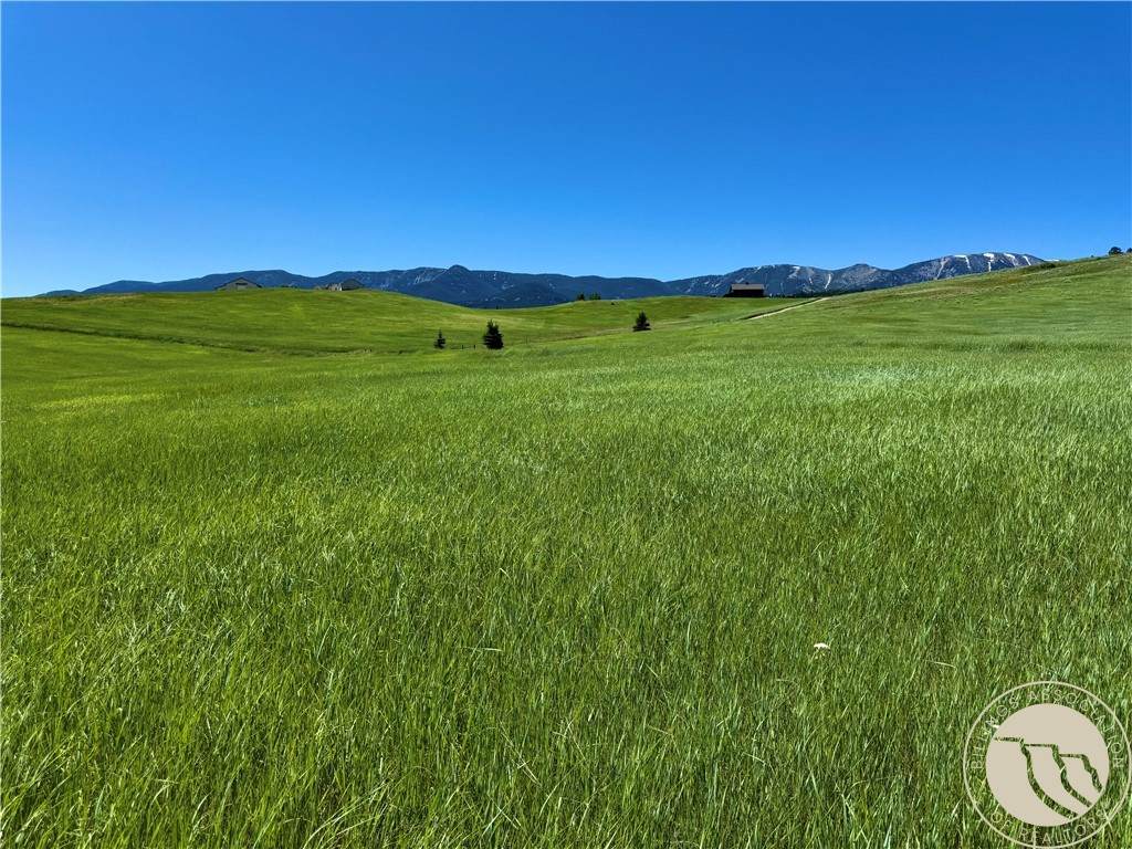 TBD 2 Turnback Trail - Photo 1