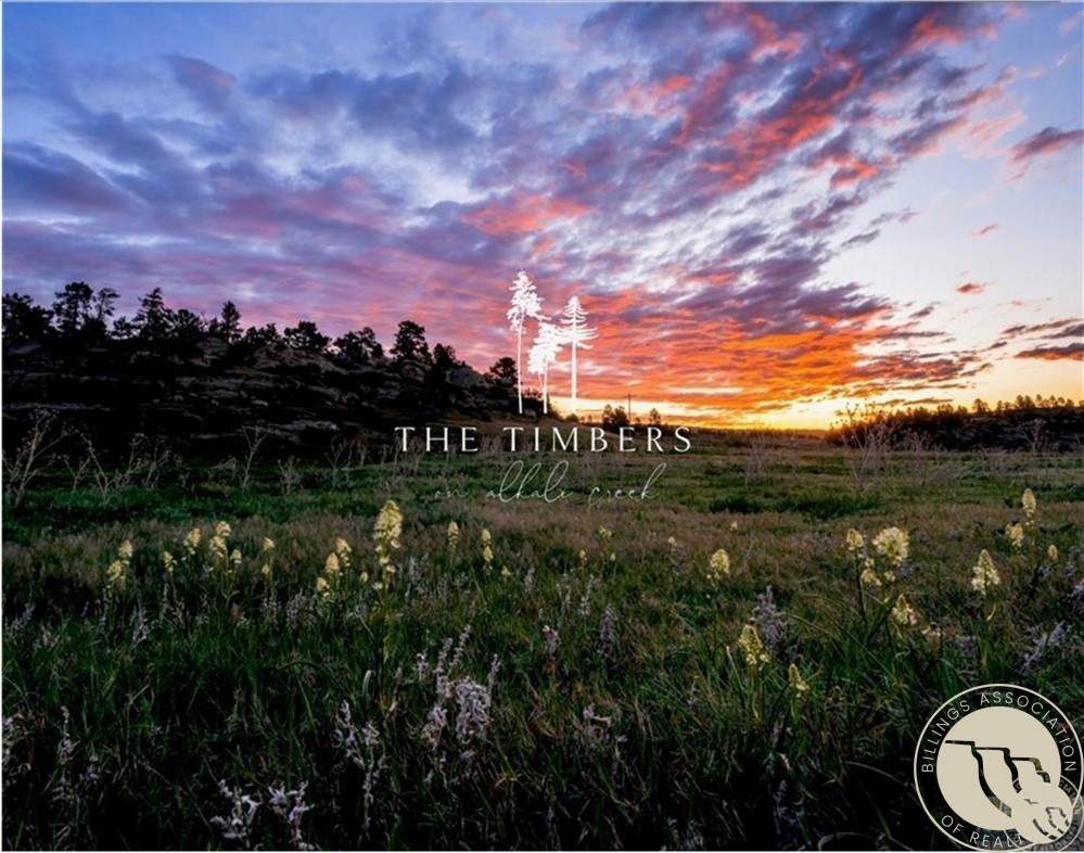 LOT 54 Timbers Boulevard - Photo 1