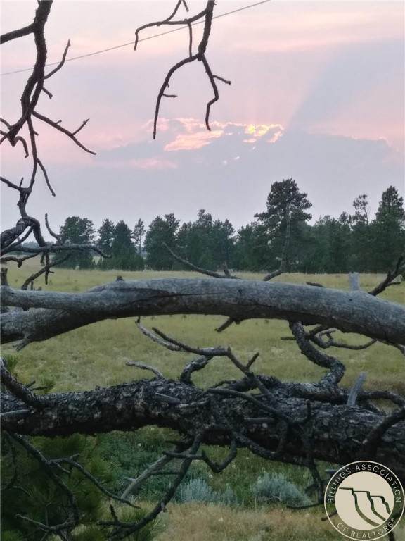 647 Majerus Road - Photo 1