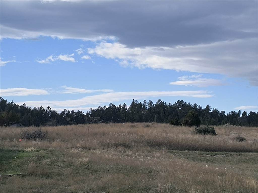 28 lots 10th Avenue - Photo 1