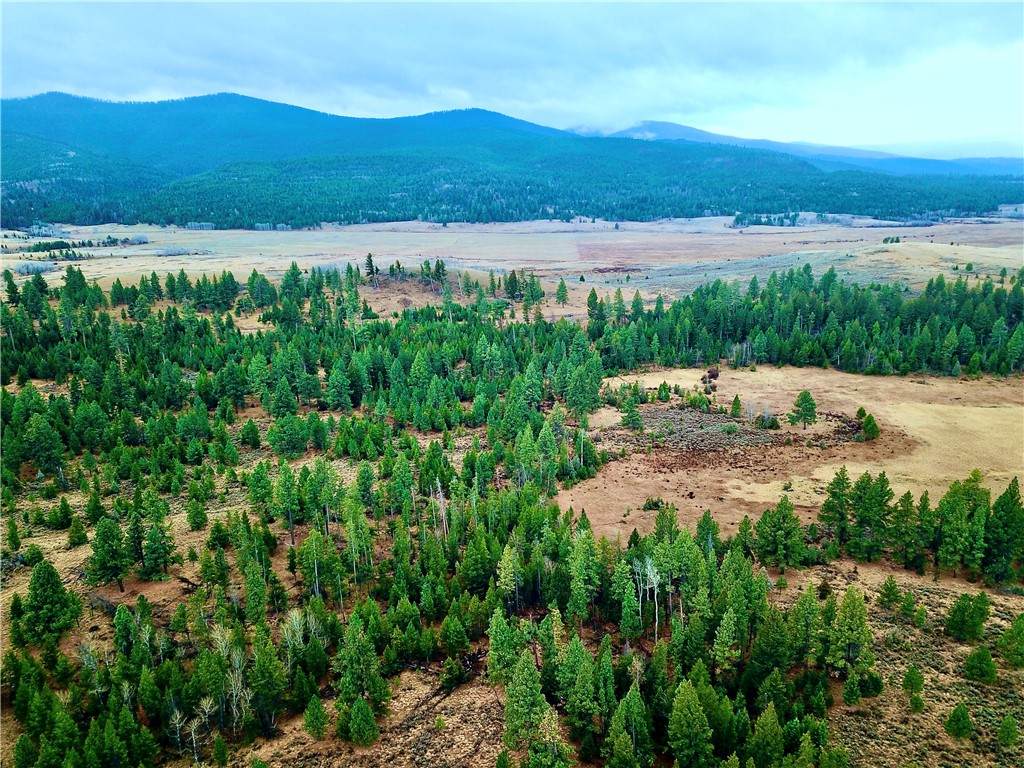 0 Strandskov Road - Photo 1