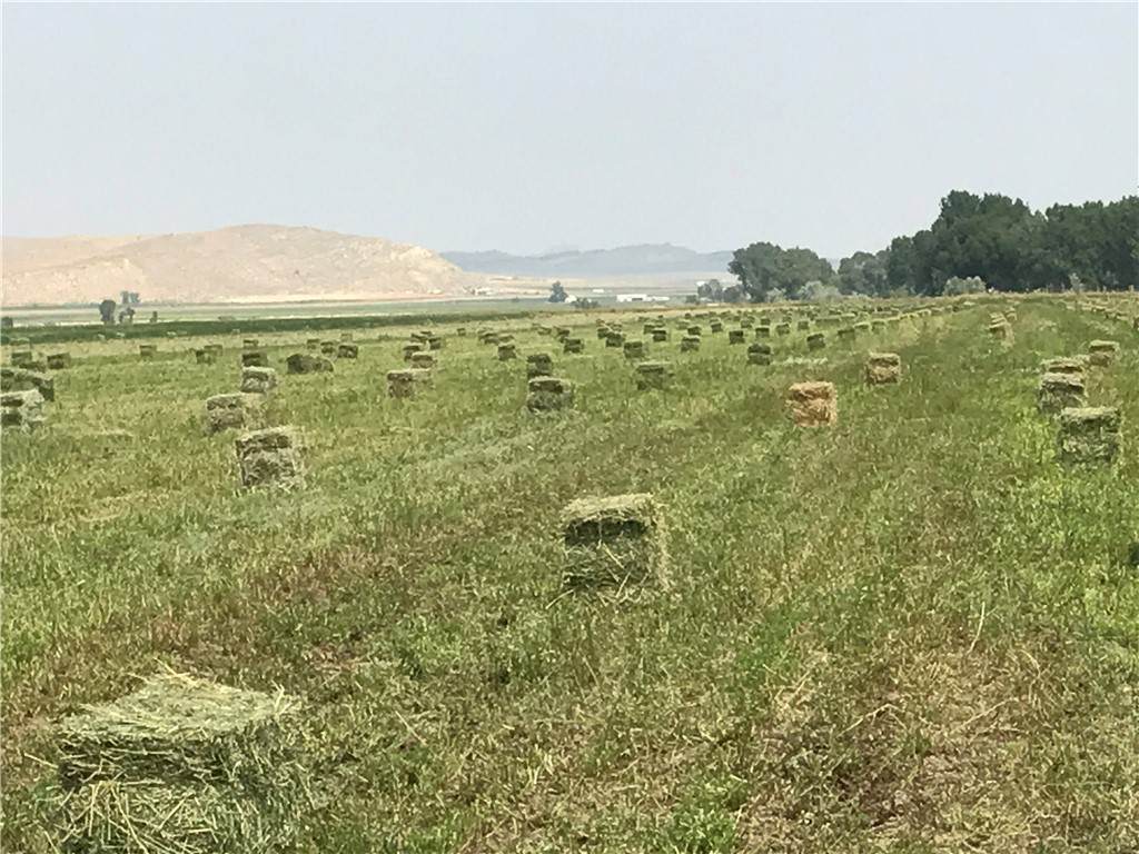 TBD Hergenrider Road - Photo 1