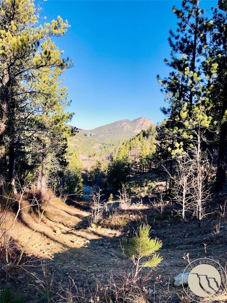 NHN Pony Gulch - Photo 1