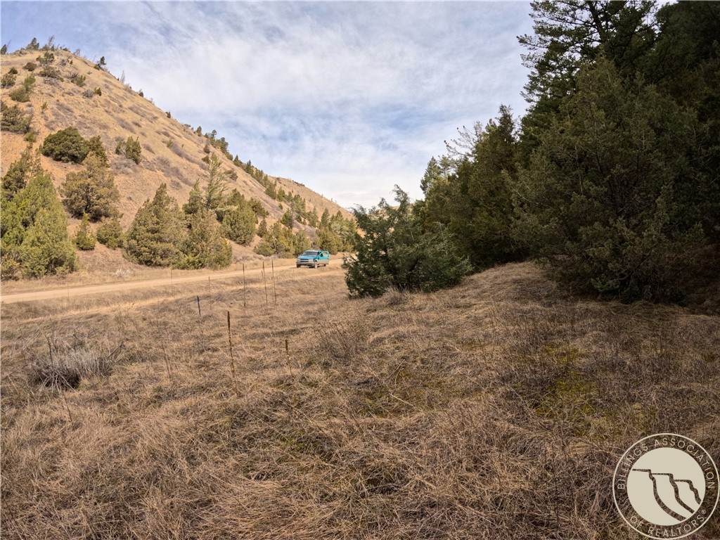 Lot 381&379 Pole Gulch Road - Photo 1