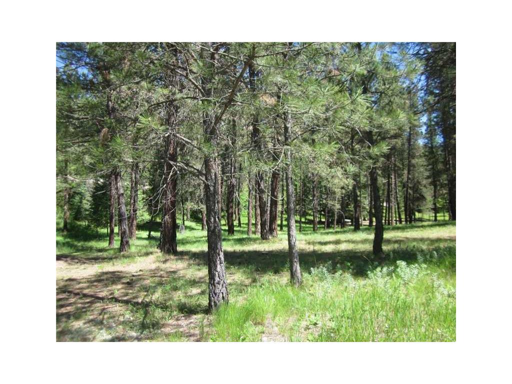 TBD Warren Road, Libby - Photo 1