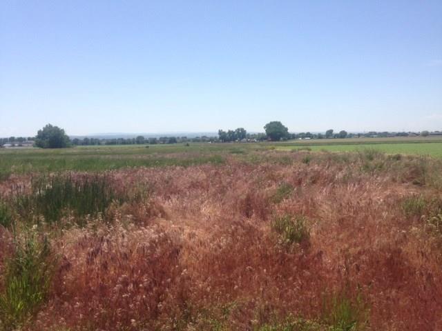 2140 Stone Creek Trail - Photo 1