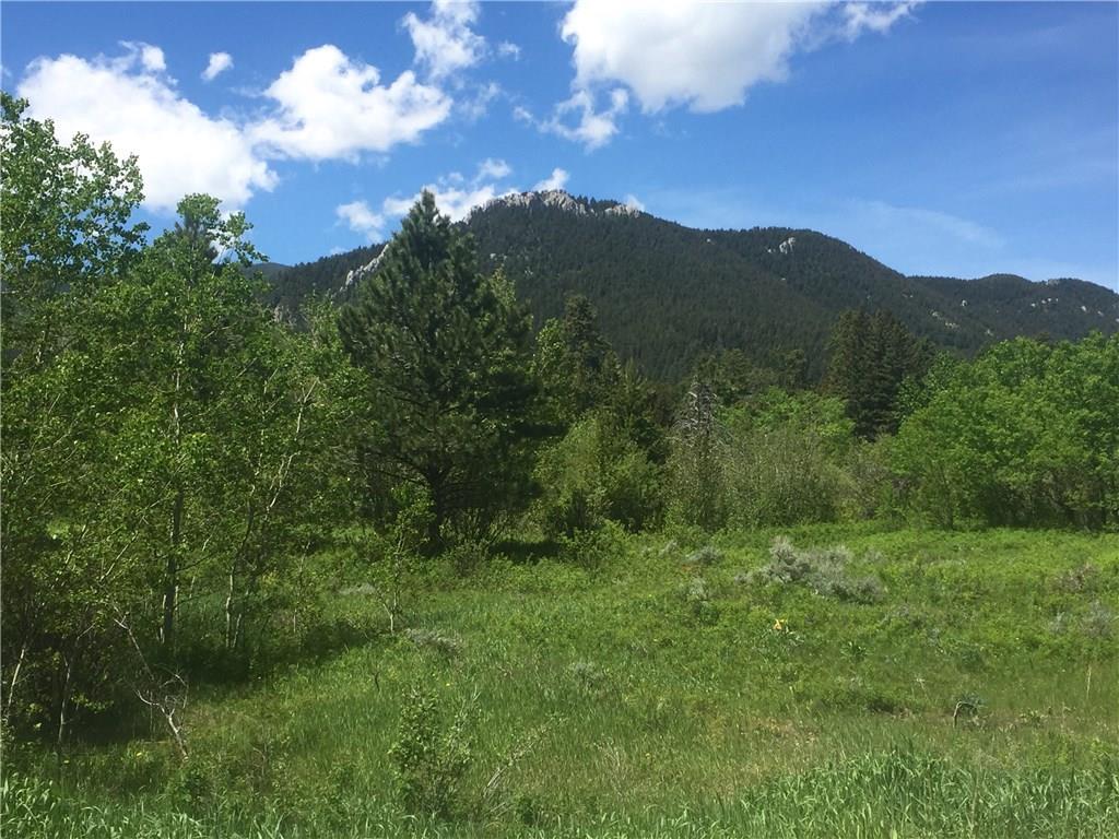 Lot 14 Beaver Trail Loop - Photo 1