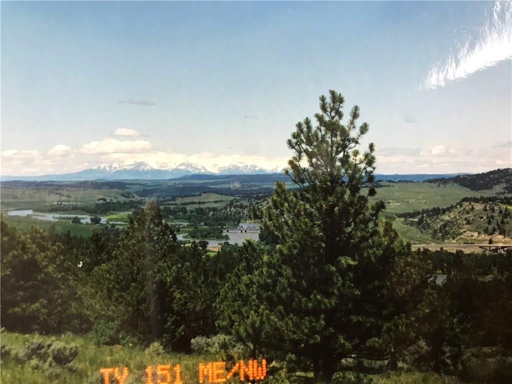 Lot 148 & 151 Lynx Trail - Photo 1
