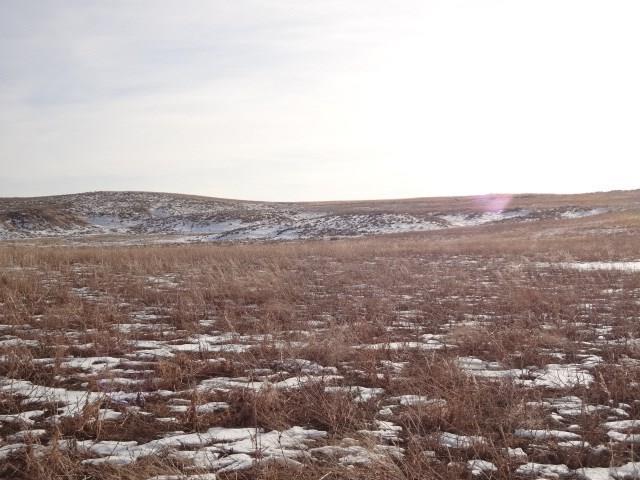 0B (30 acres) Cherry Springs Road - Photo 1
