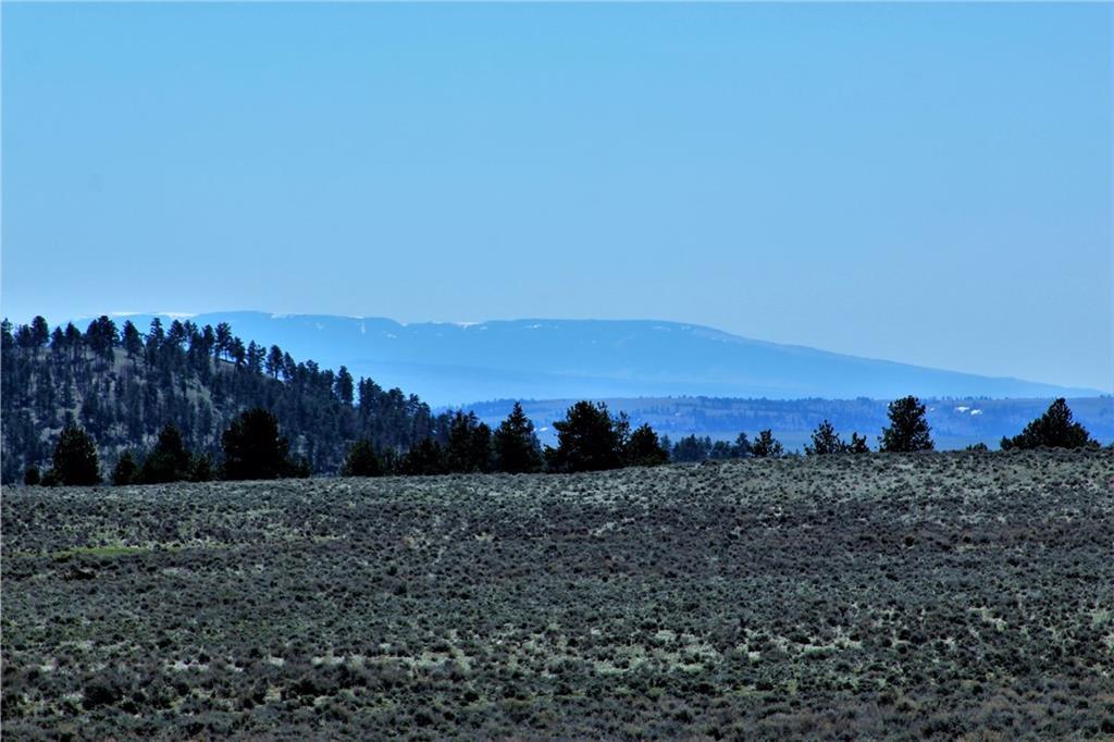 LOT 77 Pine Crest Road - Photo 1
