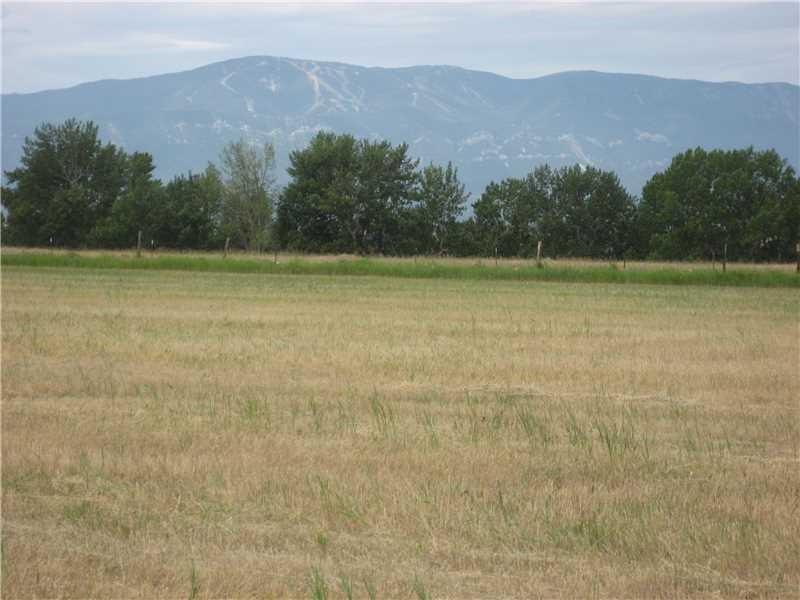 8 Horseshoe Trail - Photo 1