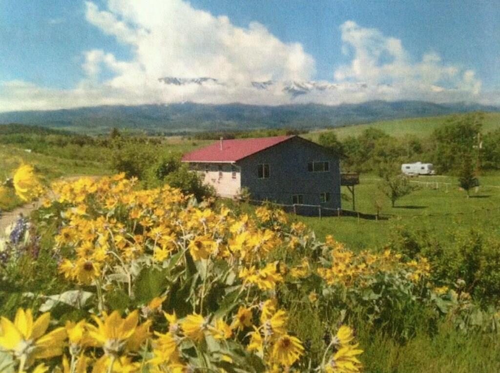 94 Fiddler Creek Road - Photo 1