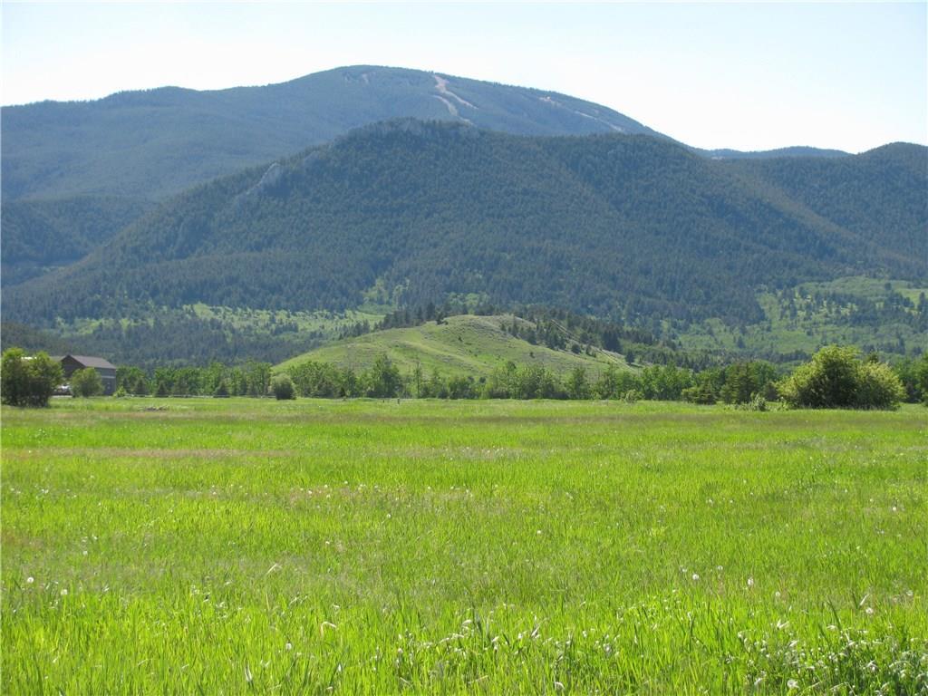 NSN Meadow Circle - Photo 1