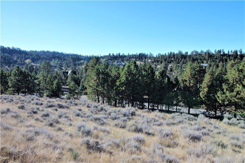 00 Cave Road - Photo 1