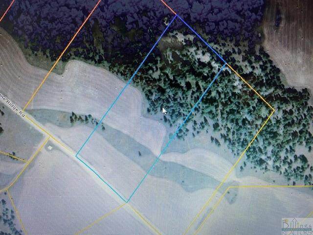 Lot 4 Shane Ridge Rd - Photo 1