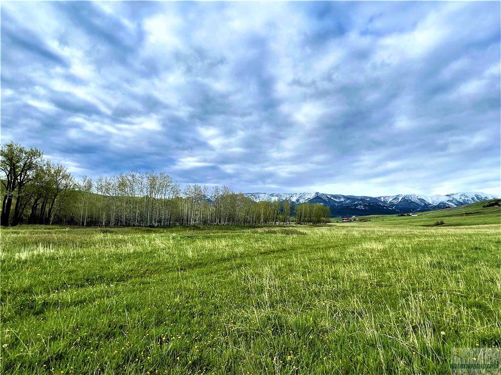 284 Upper Luther Road - Photo 1
