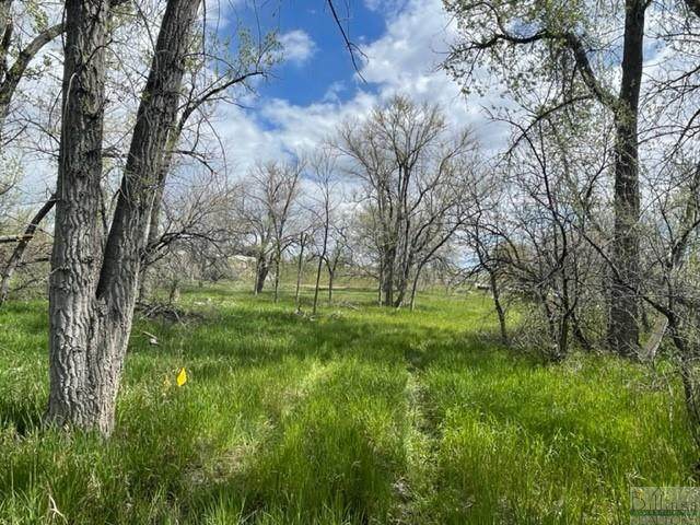 4929 Neibauer Road - Photo 1