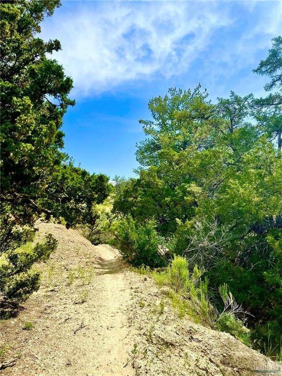 CT Cottonwood Road - Photo 1