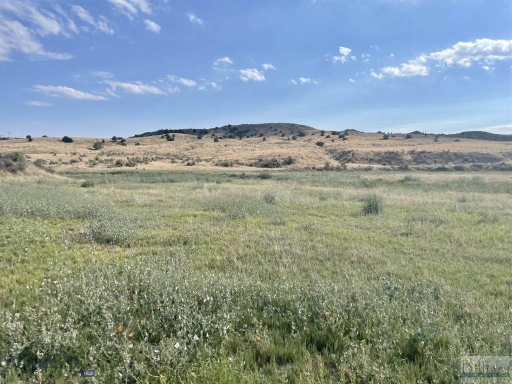 NHN Lower River Rd - Photo 1