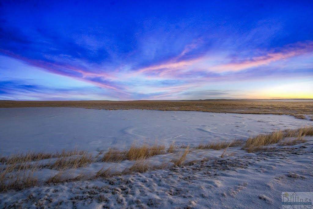 32.652 Acres off of Highway 3 - Photo 1