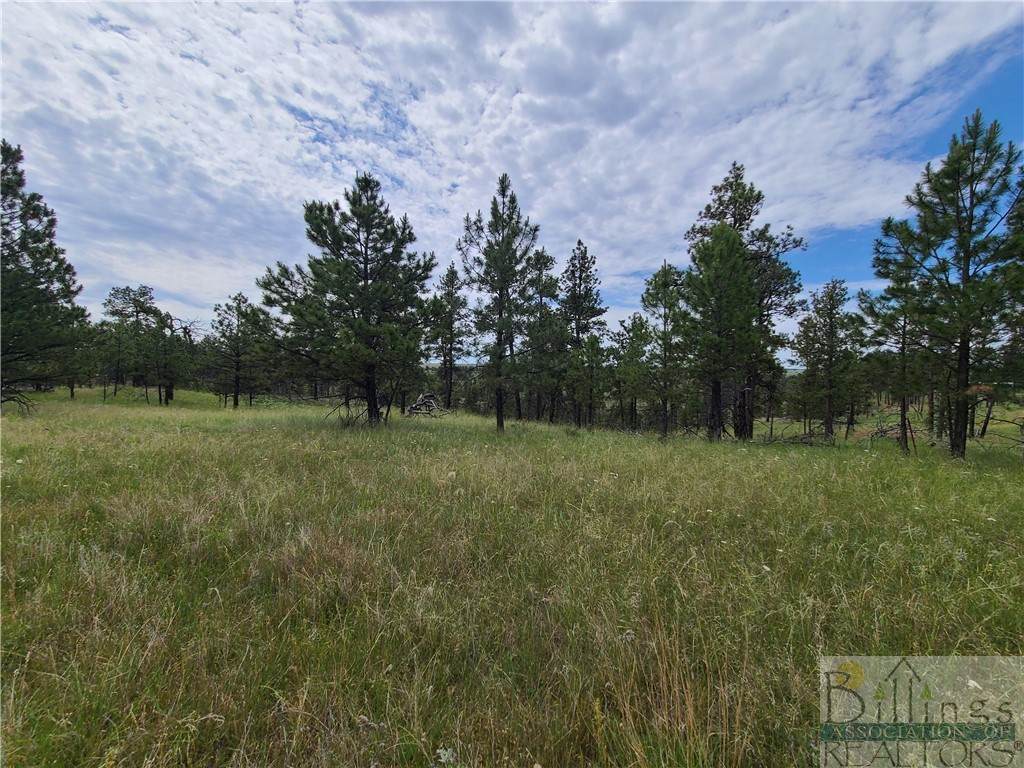 TBA Eagle Ridge Rd - Photo 1