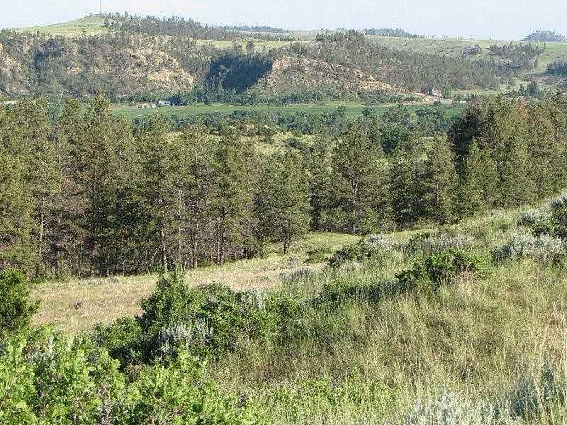 LOT 3 Monahan - Photo 1