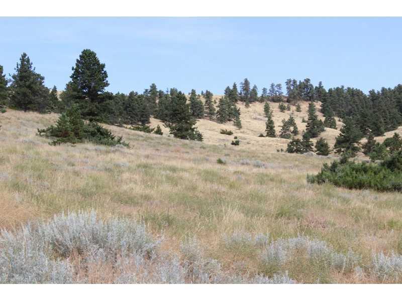 TR 5 Eagle Point Lane - Photo 1