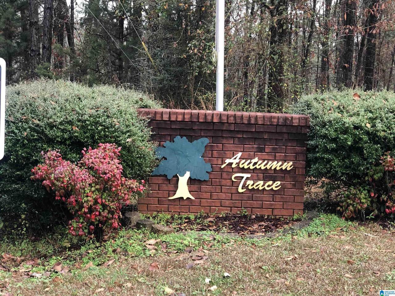 000 Autumn Ridge Trail - Photo 1