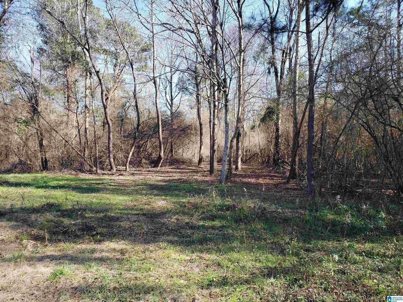 0 Mims Circle - Photo 1