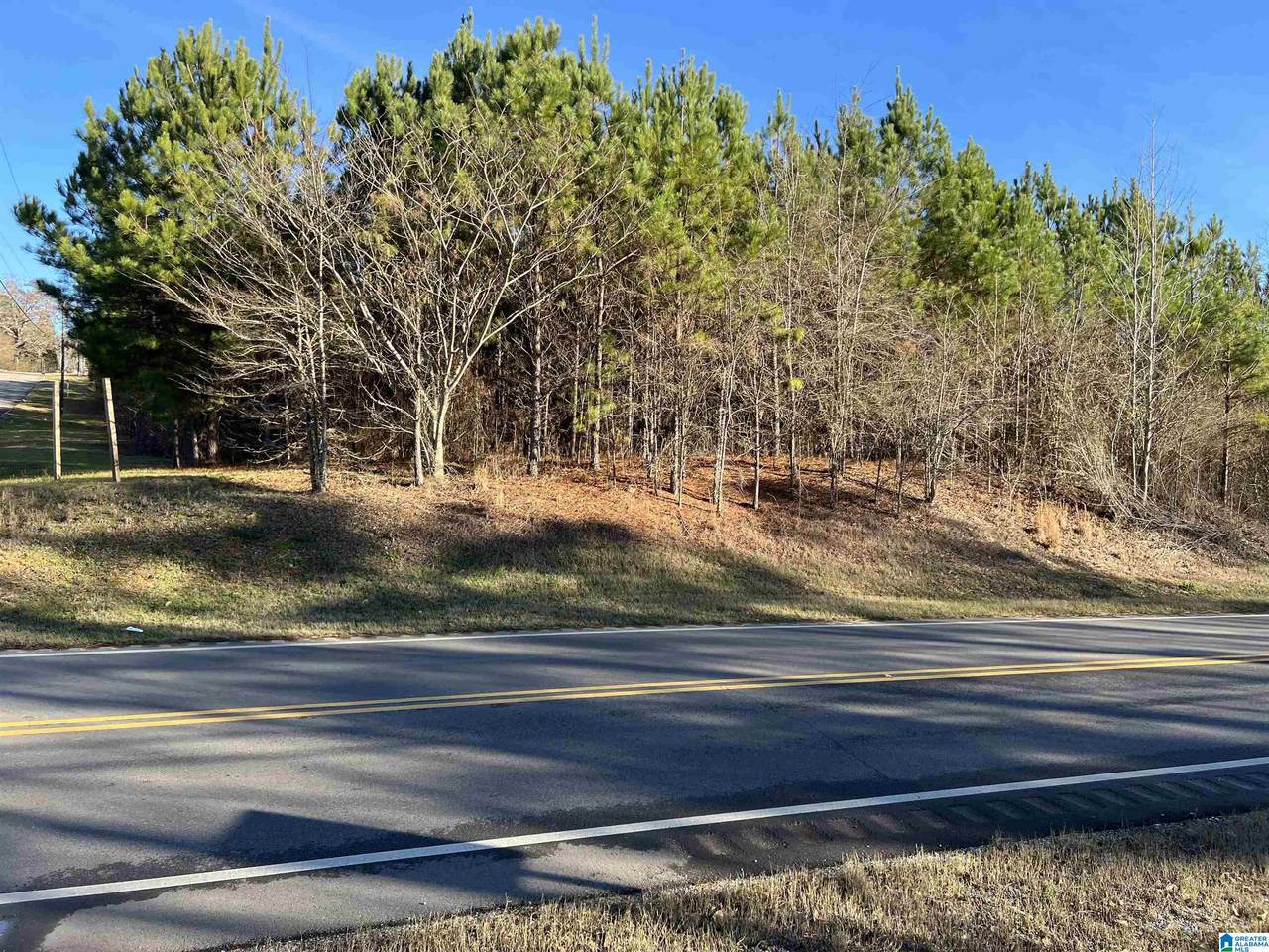 0 Highway 78 - Photo 1