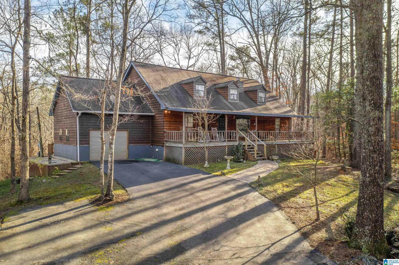 156 Hillabee Outback - Photo 1
