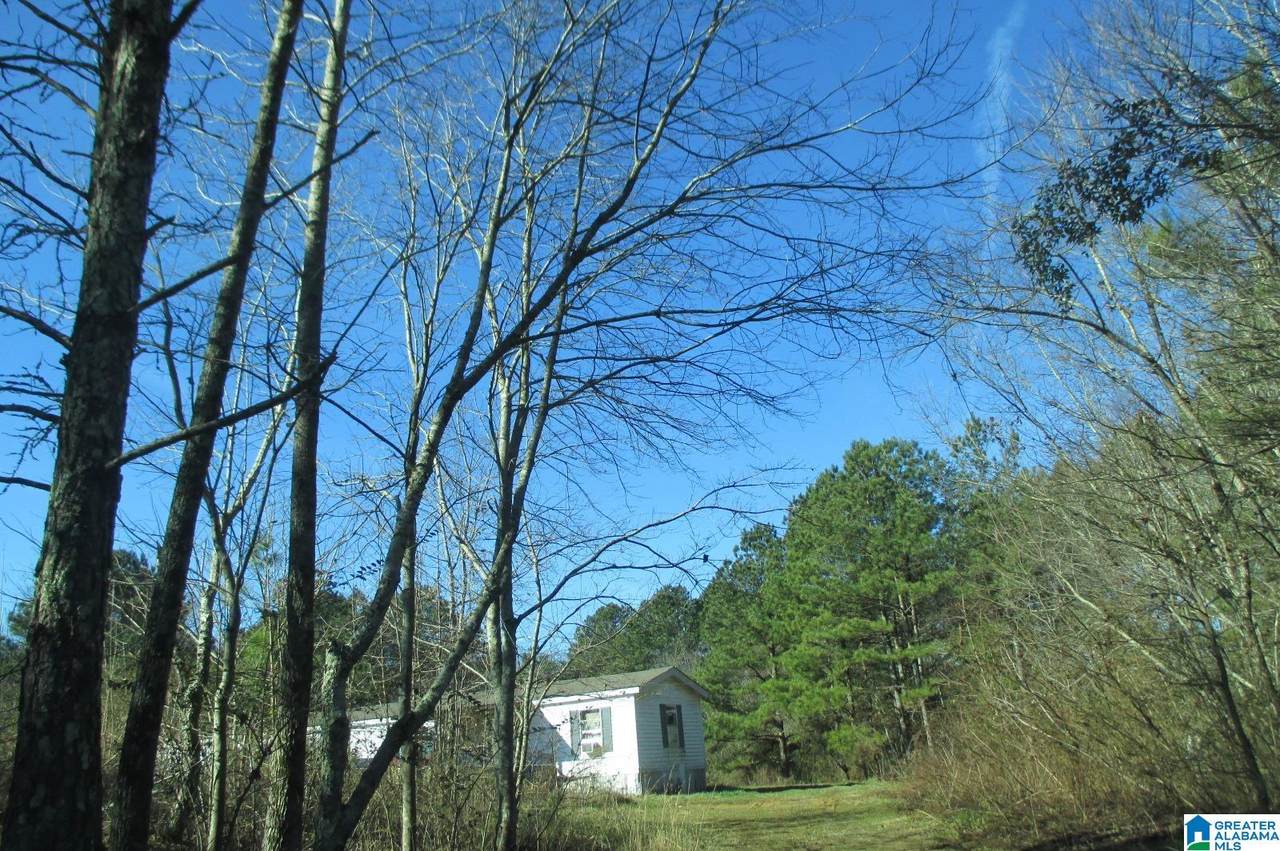 275 Thunder Road - Photo 1