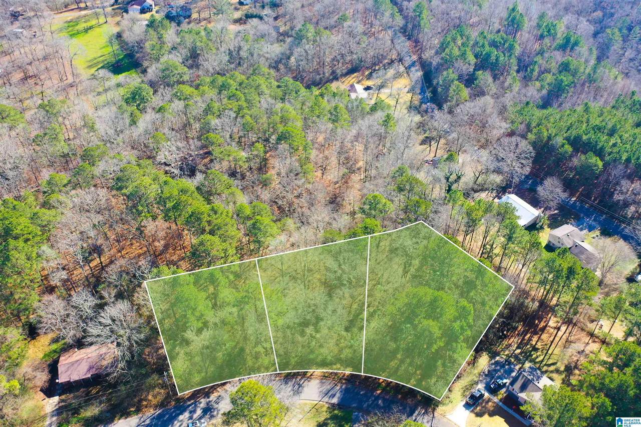 8226 Country Circle - Photo 1
