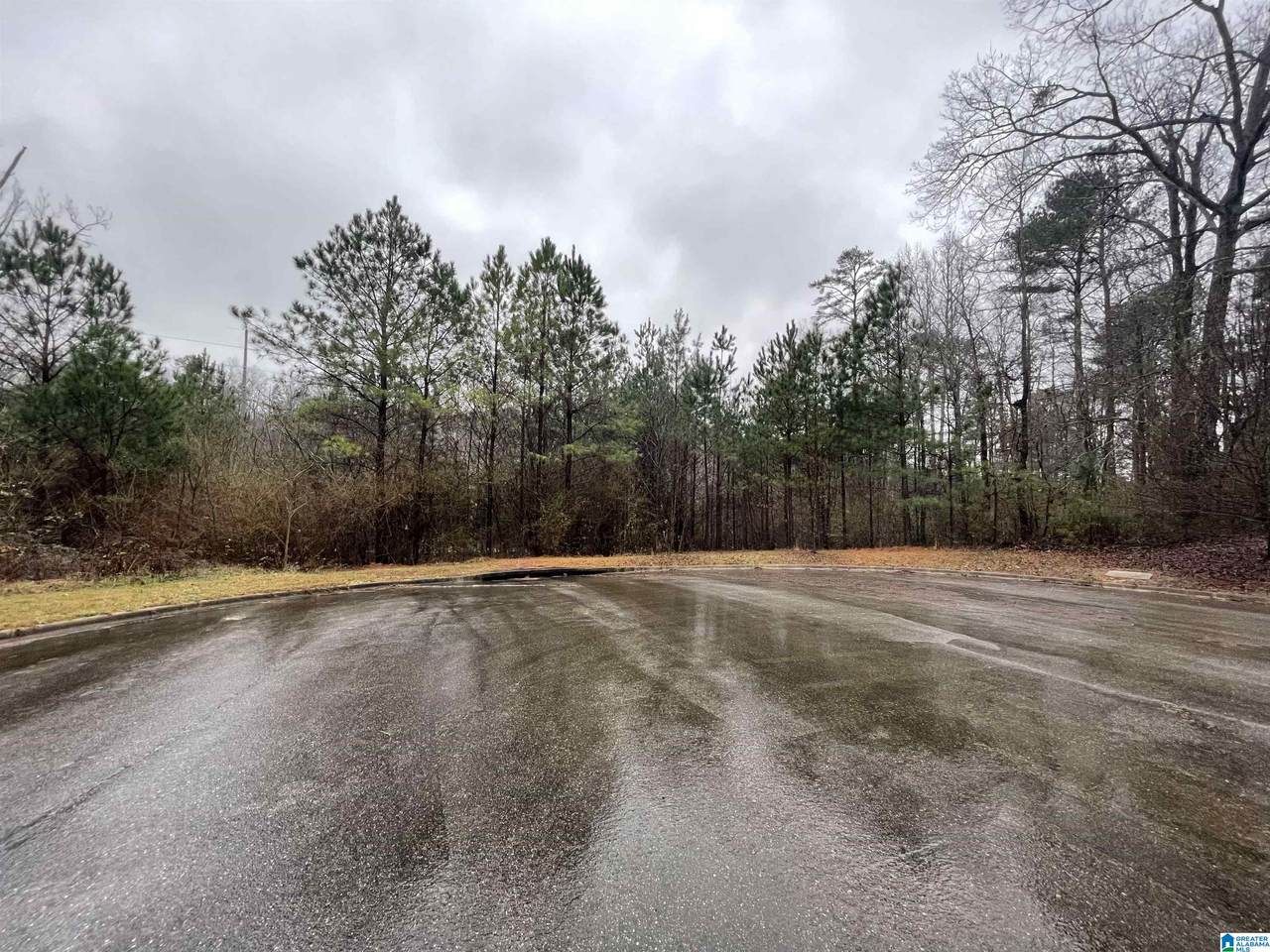 6702 Rivercrest Drive - Photo 1