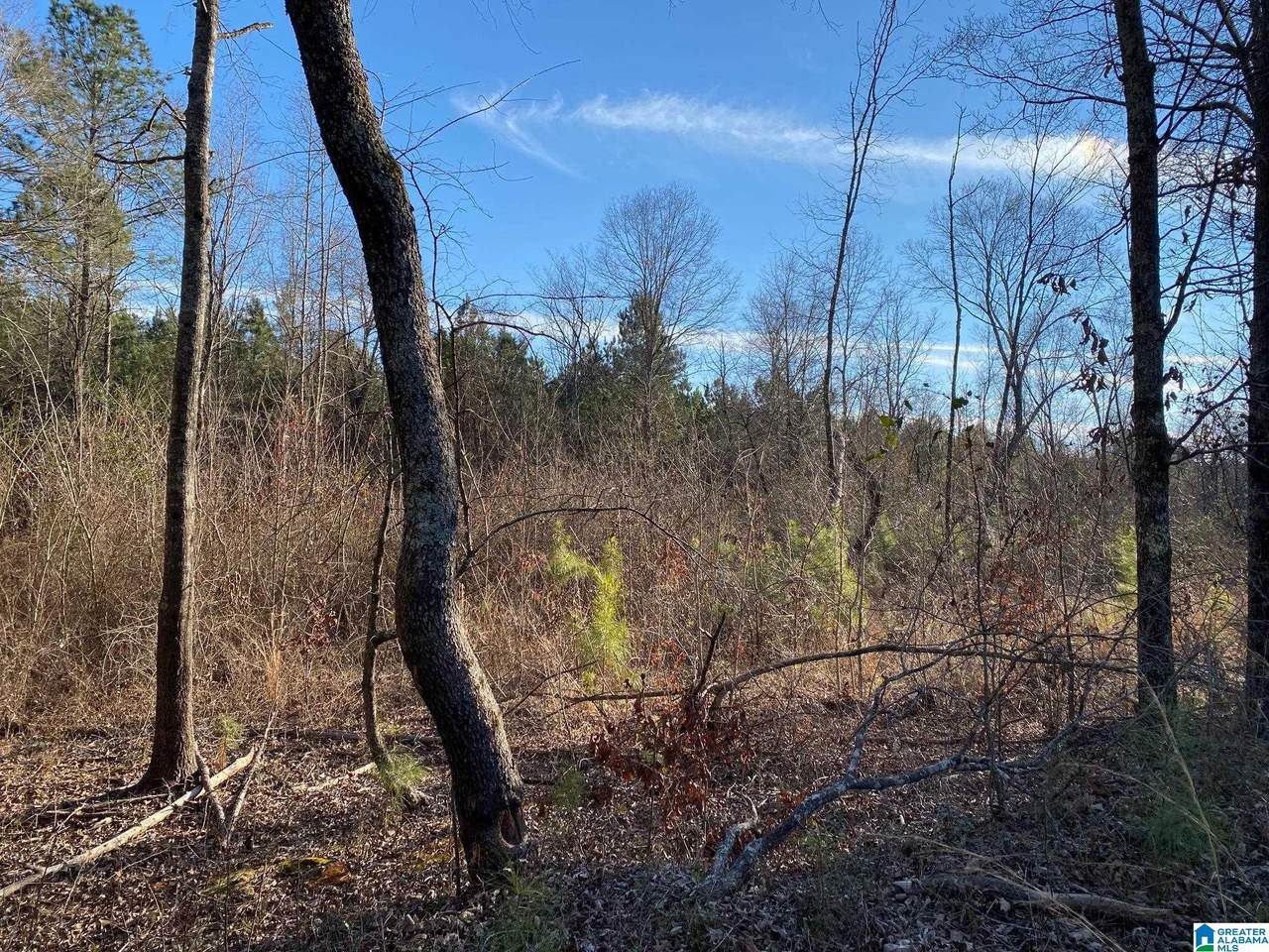 0 Merrilton Road - Photo 1