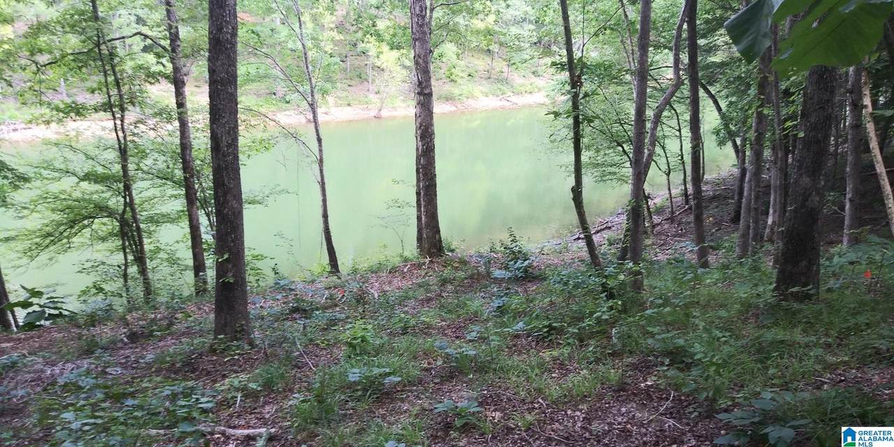Lot 13 Highway 63 - Photo 1