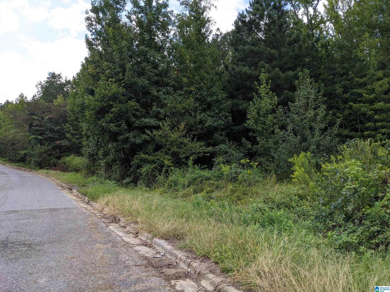 296 Forever Wild Lane - Photo 1