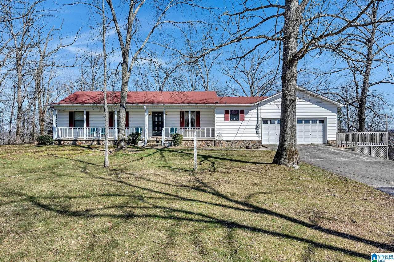 66176 Highway 231 - Photo 1