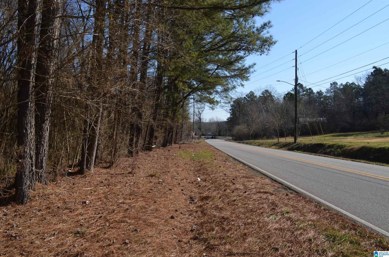 1001 Warrior Jasper Road - Photo 1
