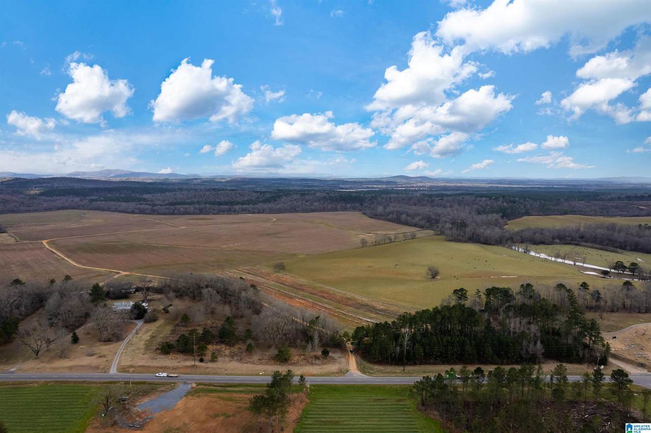 4846 & 4882 Highway 231 - Photo 1