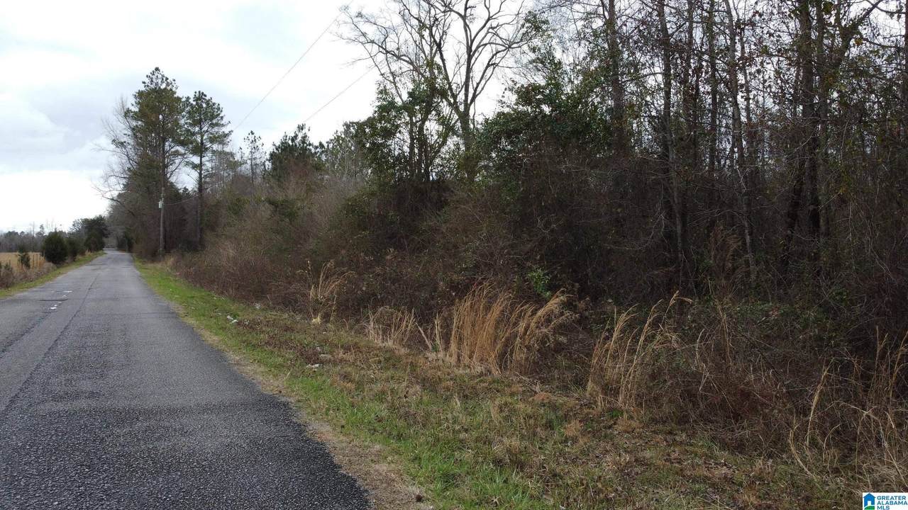 3 County Road 511 - Photo 1