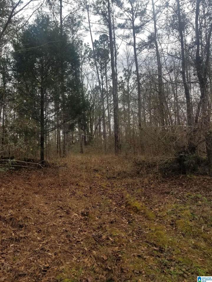0 County Road 26 - Photo 1
