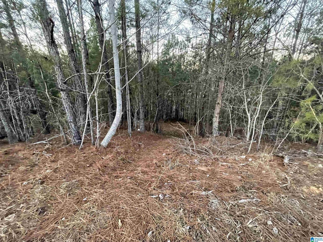 1289 Summit Park Road - Photo 1